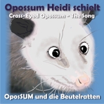 cover_opossum-heidi-blue_kl